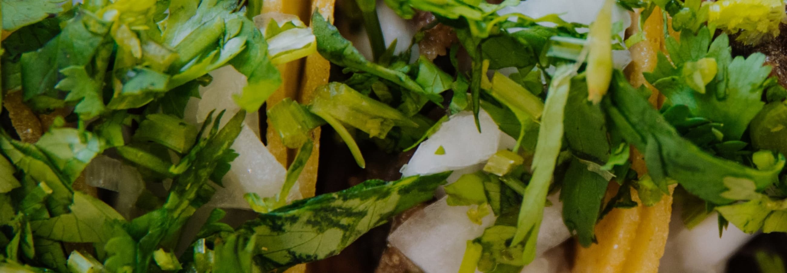 Catering Tacos 4 Life